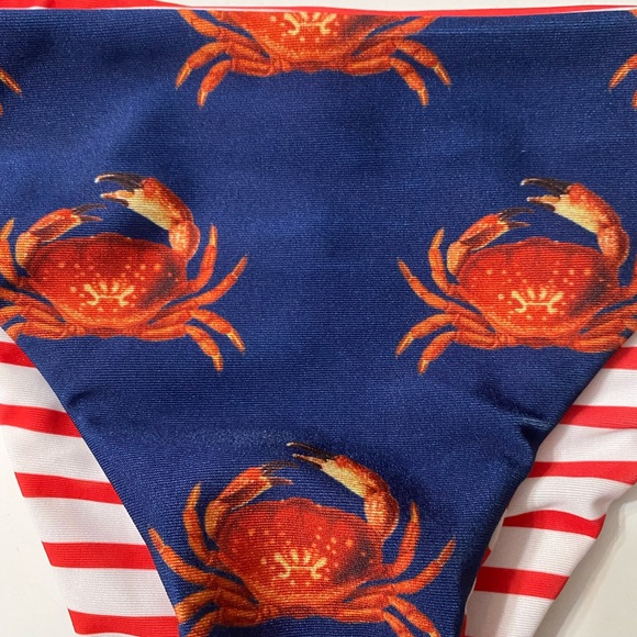 NWT Wildfox Crabby Stripe Reversible Bikini Bottom - Picture 9 of 13